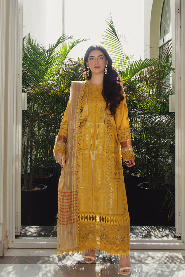 Marjjan | Aangan Embroidered Viscose |  MDS-69 (MEHROON)